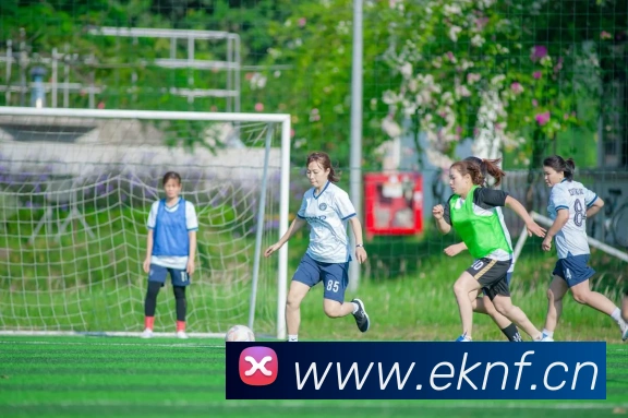 mk国际体育官网APP 高清赛事图